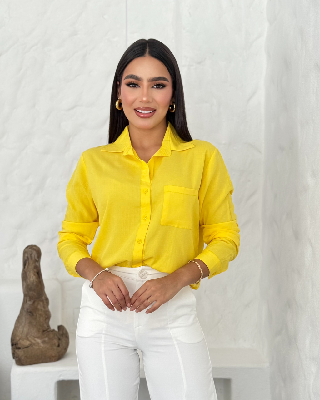 Camisas clasicas chalis